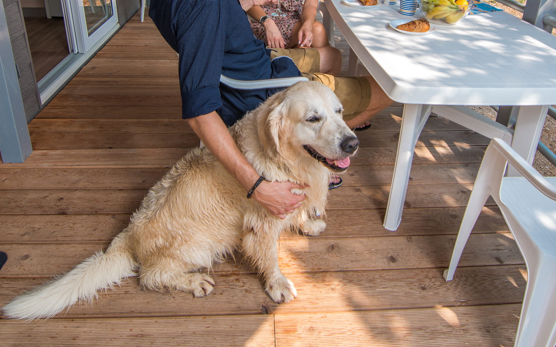 Rapoca camping village dog friendly fotograf:Rapoca camping village dog friendly